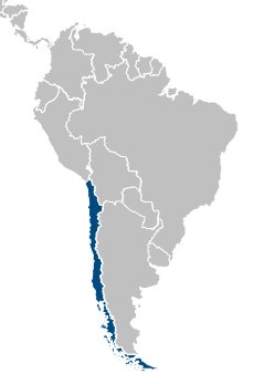 SMA South America