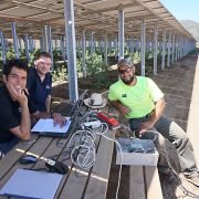 Projektingenieur Hamed Sadri (v.l.), Entwicklungsingenieur Tim Rösinger und Serviceingenieur Oscar Hernandez am Solarpark.